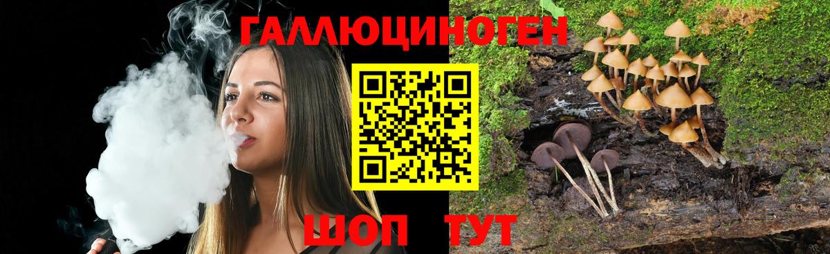 Углич  Псилоцибиновые грибы MAGIC MUSHROOMS  Вход с VPN 